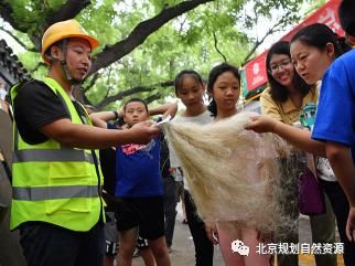 发扬工匠精神，传承历史文化——东四街区保护更新经验