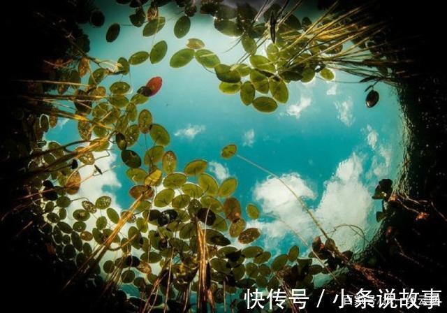 有钱人@这世界到底属于谁(原创)