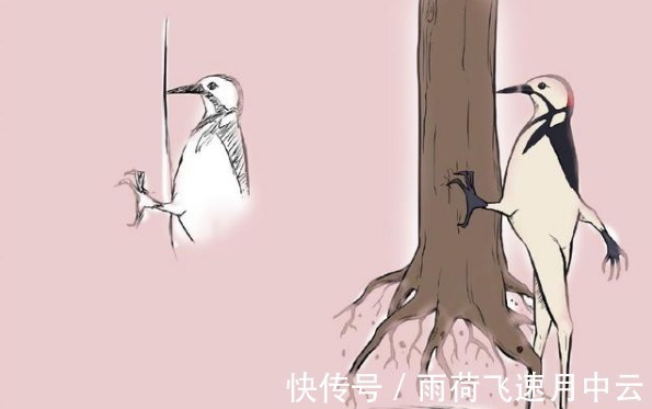 山羊|画到一半画不下去灵魂画手索性放飞自我,萌萌啄木鸟变兄贵