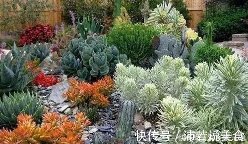 郁金香|7个绝美花园,个个美炸了天,等有钱了我也要建一个