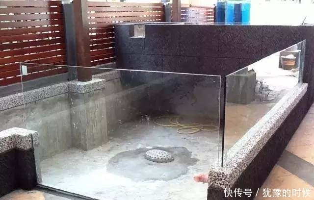 鱼缸和池还可以这样结合?只能说很有想法,有钱我也搞一个!