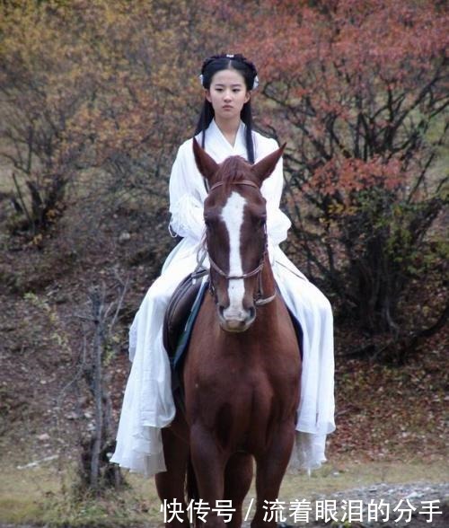 “蛇雕大战”杨过为何救雕原来早有端倪,和他坐骑有关