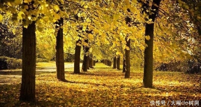 食物|秋冬应多吃这些红色的食物,帮助你御寒防感冒,现在知道还不晚