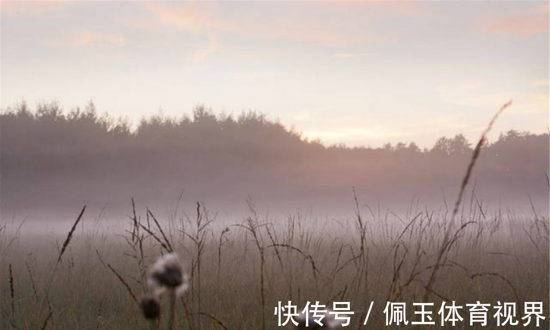 秋夜独坐@王维晚年写下的这首禅诗,通篇意境高远,同时每一句都有大智慧!