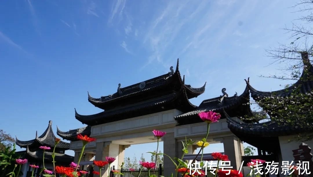 苏州市|苏州市植物园打造“菊”主题景点，邀市民游客共赏秋日好风光