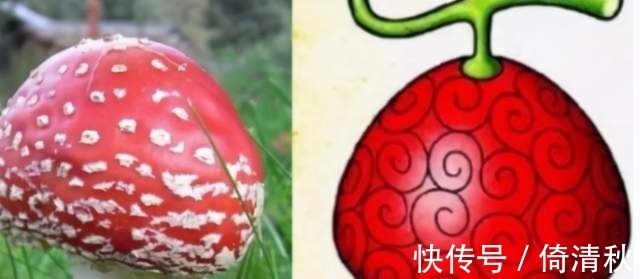 四皇|海贼王被迫吃果实的四位能力者,实力比肩四皇,还敢和海军叫板