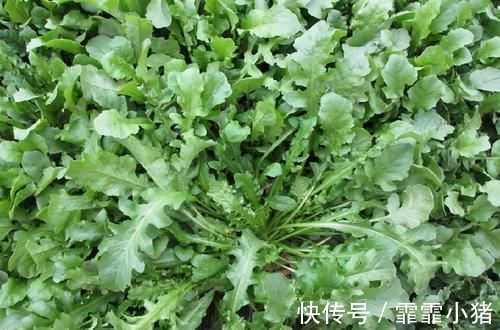 维生素c|3种食物是肝脏最爱，常吃养肝护肝还排肝毒，肝脏一天比一天好