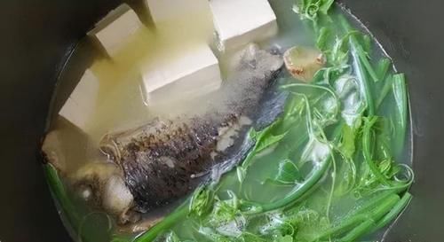 秋天|秋天最该常吃这三种肉,胜过吃补药!滋补身体,健康入冬!