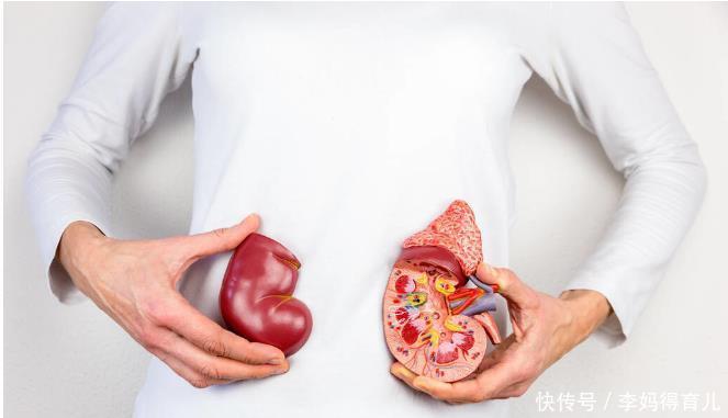 血红细胞|肾不好的人要注意,出现7种症状,说明你的肾已经衰竭了