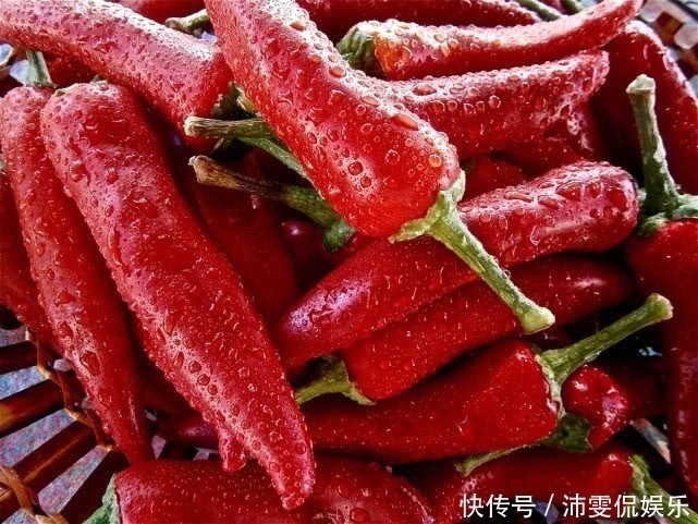 dh怀孕后孕妈要管住嘴,9类食物再馋也不要吃,全是为了胎儿好