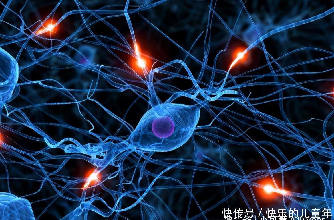 绘本|3-6岁是右脑开发的黄金期,教你3个方法,给孩子一个“超级大脑”