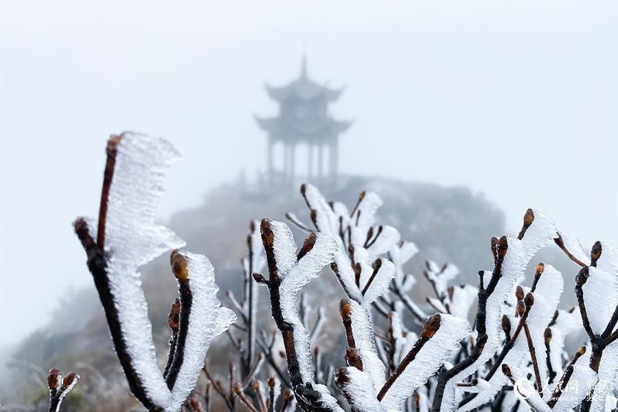 荣县东狮山|冬日美景醉游人 福建多地出现雾凇景观