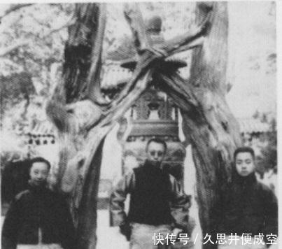 随身携带|溥仪随身携带一张照片,背面写了八个字,死后才被发现