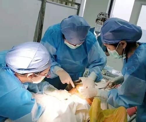 心理准备|孩子已生出来,产妇却喊“想上厕所”,护士听后急忙叫医生来抢救