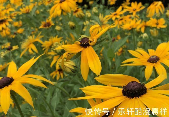 苦尽甘来|7天后,4个星座,有贵人相助,苦尽甘来,工作生活皆顺利