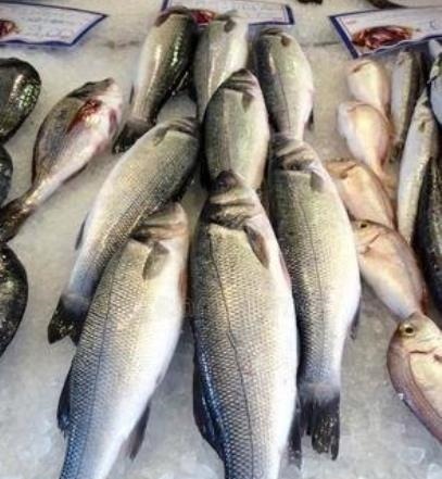 买鱼时,遇到这3种鱼扭头就走,重金属含量高,没营养还浪费钱!