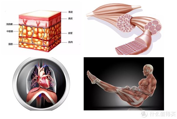 运动|臀腿训练后有它按摩倍儿舒爽！海尔筋膜枪Q3使用心得及筋膜枪干货小知识！