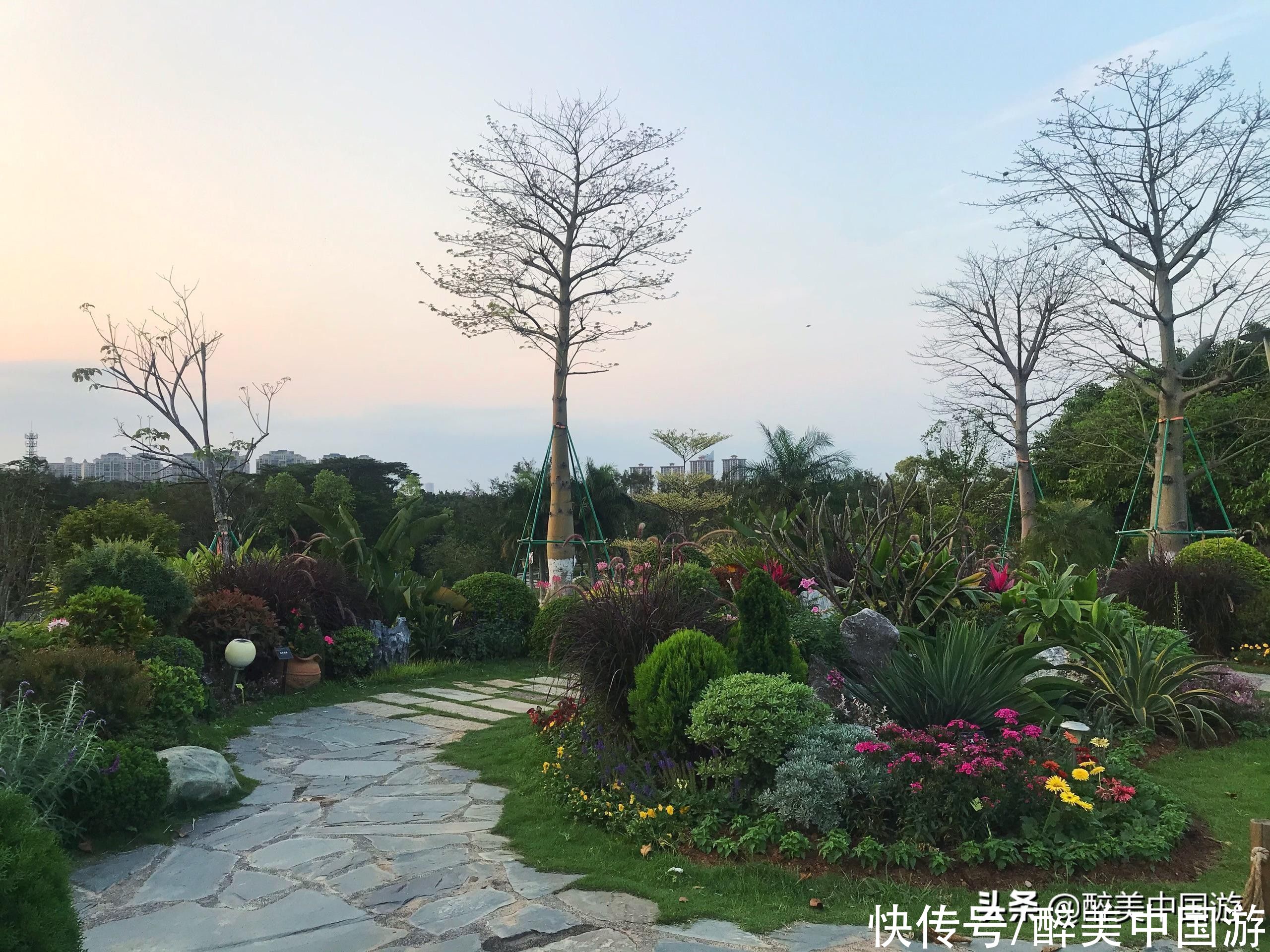 中年|探访东莞植物园，骑行徒步赏珍稀植物，免费开放