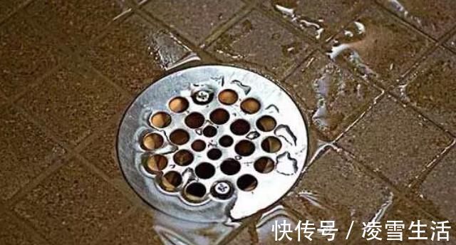 卫生间下水道里倒一碗,再臭再脏全消失,还没小飞虫,简单有效