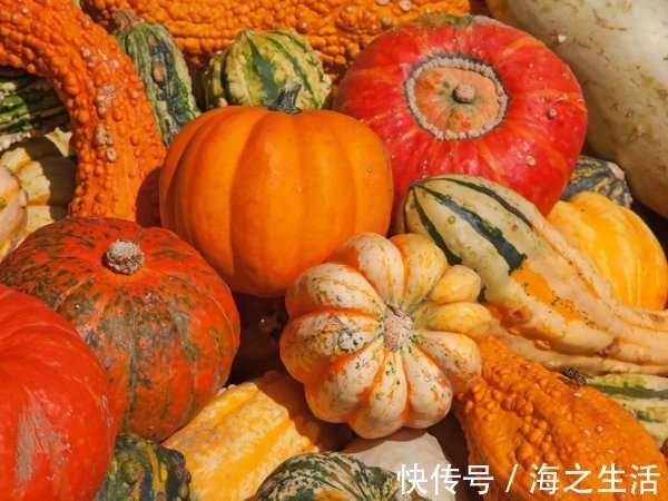 补充气血|产妇坐月子一定要吃4种食物,不仅补充气血,还产奶瘦身