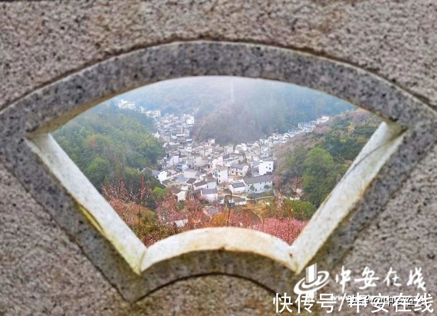 基层|「新春走基层」卖花渔村春来早