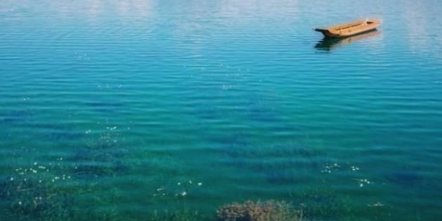 星星点!苏轼看穿人生的经典之作,句句经典,结尾8字令无数人落泪