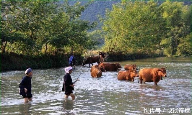 坝美村|隐蔽的山洞后面，藏着一处真正的世外桃源，村民已经隐世数百年