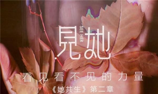 艺术展|《见她》女性艺术家主题展览在京开展 发掘女性力量, 体验多面人生