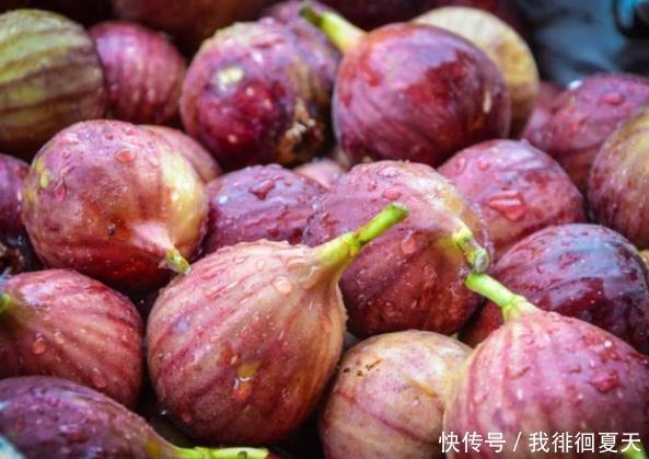  排便总是很困难不妨常吃4种食物，排便会变得更顺畅