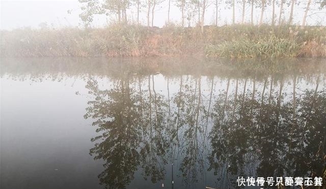 鱼星四起,鱼却不咬钩,着急解决不了问题,搞懂诱因方能化解