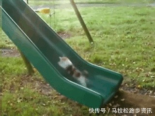 周杰伦|夏季限定跑步歌单 一起去听夏天的风