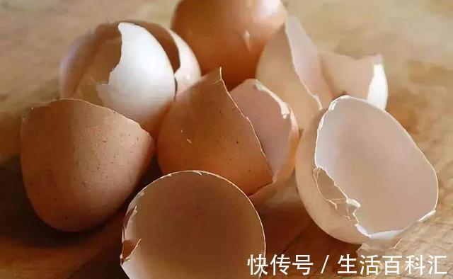 瓜果|不使用磷酸二氢钾养花,那就试试自制肥料,在家就能制作