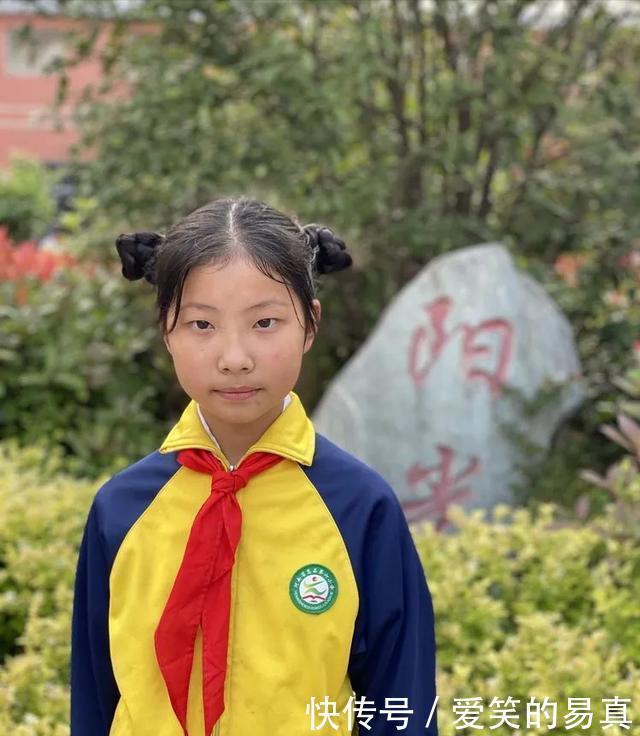 苔花如米小全诗 苔花如米小全诗