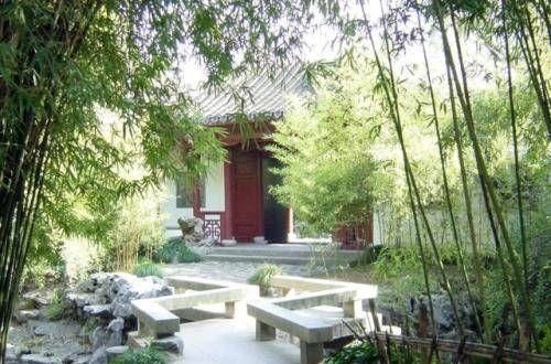 宝钗|林黛玉的潇湘馆和薛宝钗的蘅芜苑都是五间房,暗示宝黛成仙,宝钗是山鬼