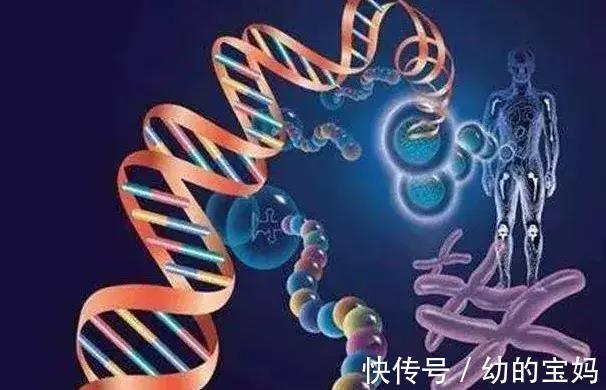 决明子|生活中如何降低血脂，中医推荐这2种中药！