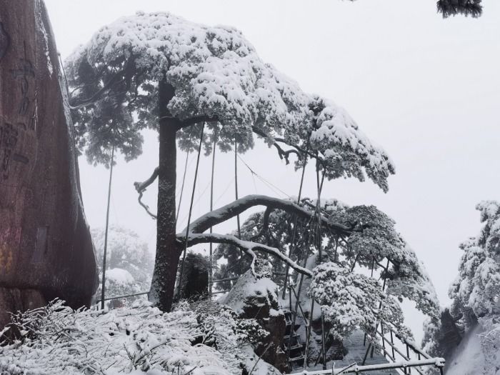 冰雪世界|冰雪世界 雪后黄山美如画