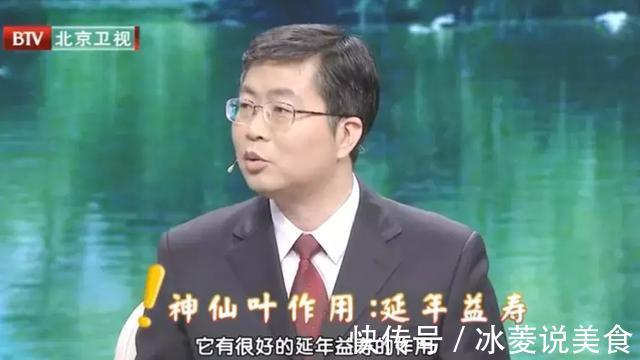 三高#它被誉为“神仙叶”,每天一把泡水喝,三高慢慢降下来,益寿延年