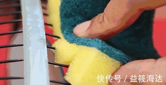 用处|百洁布只能拿来洗碗?还有这些神奇用处,很多人都不知道