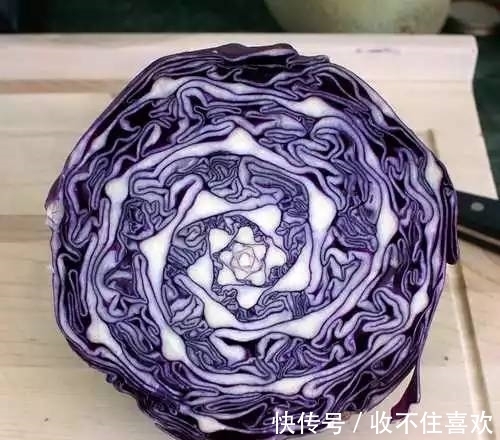 植物|神“造”般的植物奇景，仿佛画作精品，小编已深深着迷！