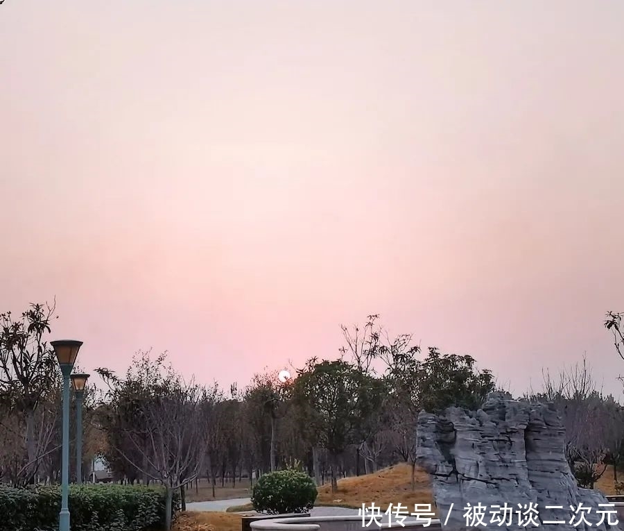 郑州电专|郑州电专“练习生”正式出道!