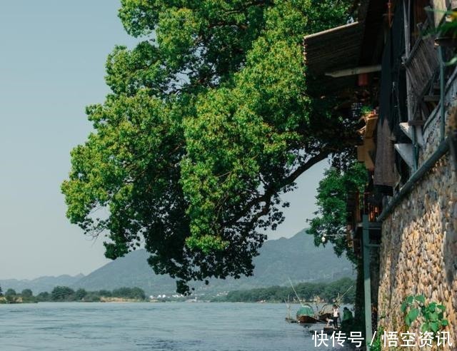 古镇|浙江最唯美古镇，建有千年香樟树，乘坐摆渡船才能到达