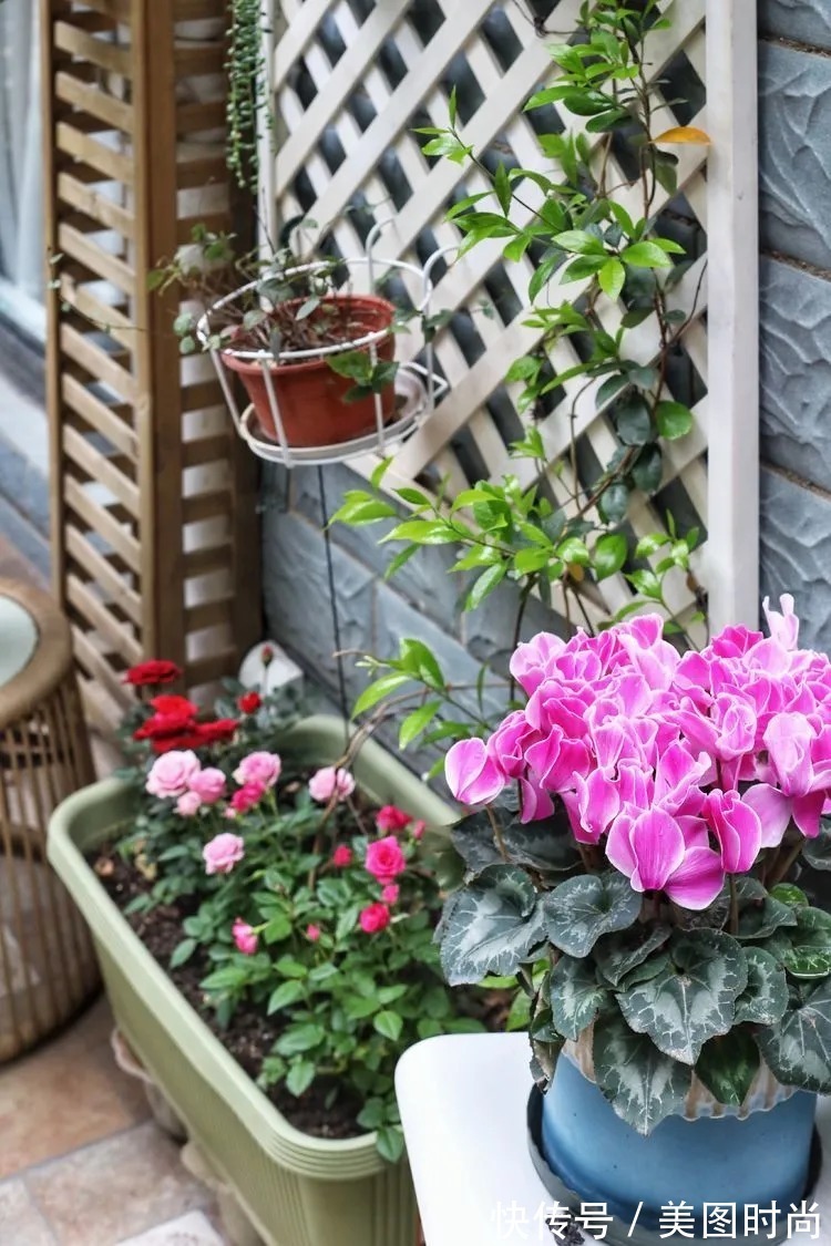 薇月|四年前，接手了朋友带120㎡院子的房子，打造成花园后朋友羡慕了