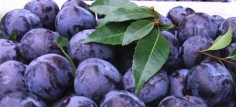 美白|经常吃此水果,不仅能美白皮肤,而且能稀释斑点,早早受益!