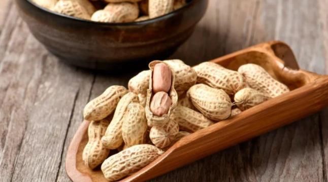 别发愁，养花不会施肥啦，用这3样有机肥，好用又不烧根