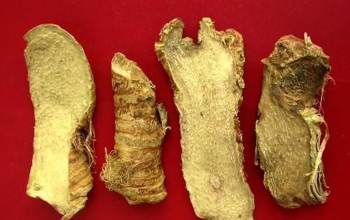 一种味苦而甘的中药,清热泻火、滋阴润燥,效用非常,你知道多少