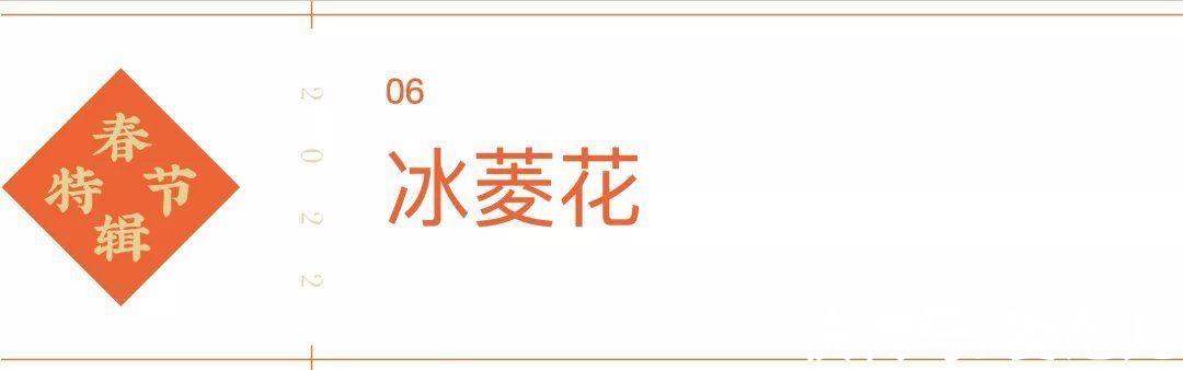 五棵松体育中心|去不了北京冬奥会？我们带你看里面最酷的 8 个地方