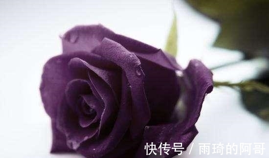 真爱|12生肖8月桃花感情黑红榜：4生肖红鸾星动，收获真爱！