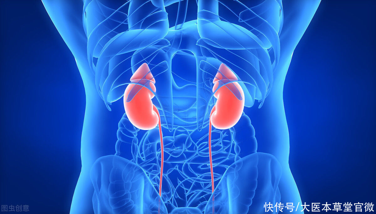 肾衰竭|肌酐高一点，肾脏真没啥事儿？若信了，只会剩下肾衰竭、透析