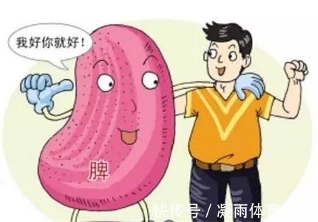 脾胃不好|一篇你从未见过,把补脾知识全讲明白的文章!懂养生的人都收藏了