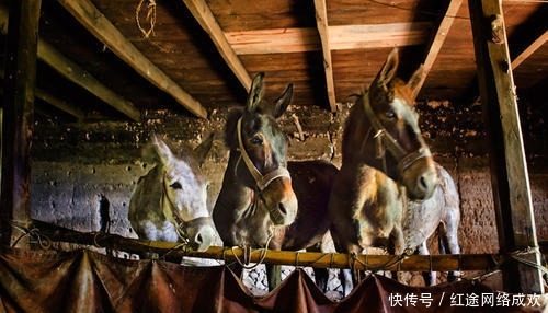 独尊儒术的儒家制度之下,姓名不能乱叫,因为忌讳太多!
